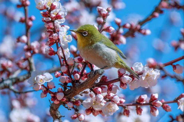 Die besten Bilder des Tages