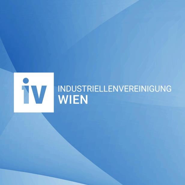 wienwillswissen-logo-iv-2025
