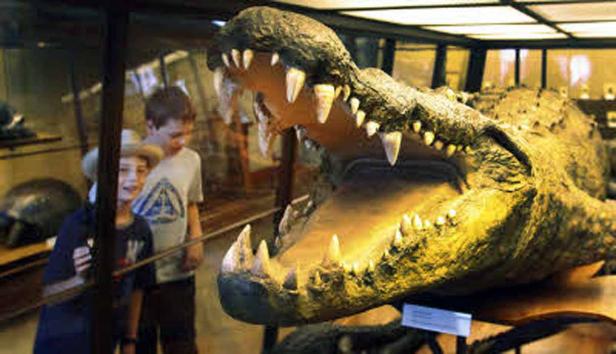Zwei Kinder betrachten das Modell eines Krokodils mit geöffnetem Maul in einem Museum.