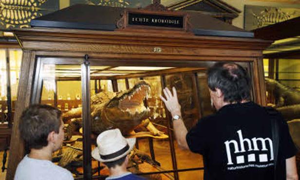 Besucher betrachten ein ausgestopftes Krokodil in einem Museum.