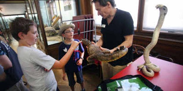 Ein Mann zeigt Kindern einen Alligator und eine Kobra auf einem Tisch.