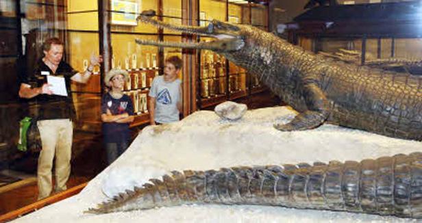 Ein Mann erklärt zwei Kindern ein Panzerechsen-Exponat in einem Museum.
