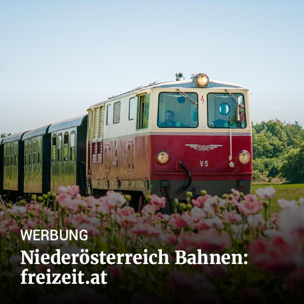 contenthub_banner_contentmarketing_noevogfreizeit_2025