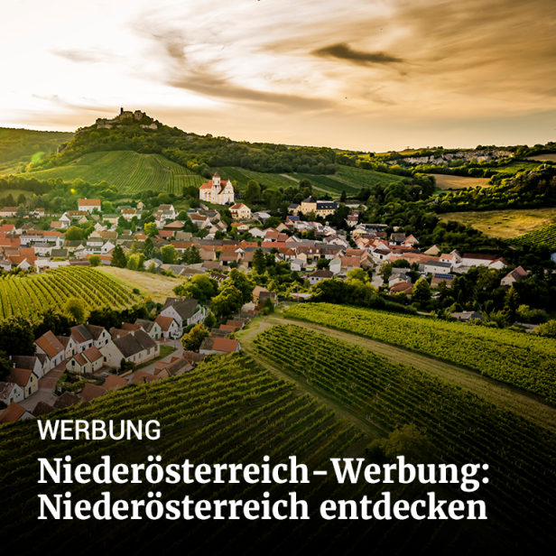 contenthub_banner_contentmarketing_noewerbung_niederoesterreichentdecken_2025