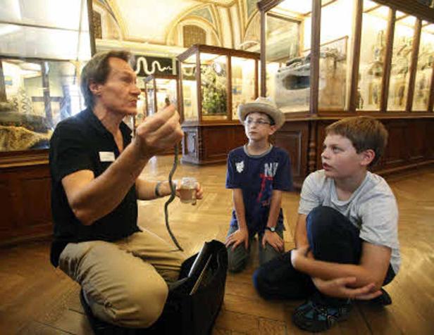 Naturhistorisches Museum, Reptilien