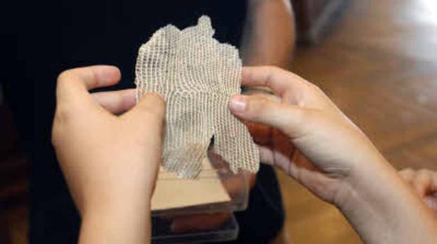 Eine Person hält ein Stück Wabenstruktur in den Händen.