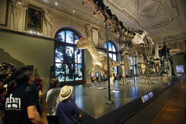 Besucher betrachten Dinosaurierskelette in einem Museum.