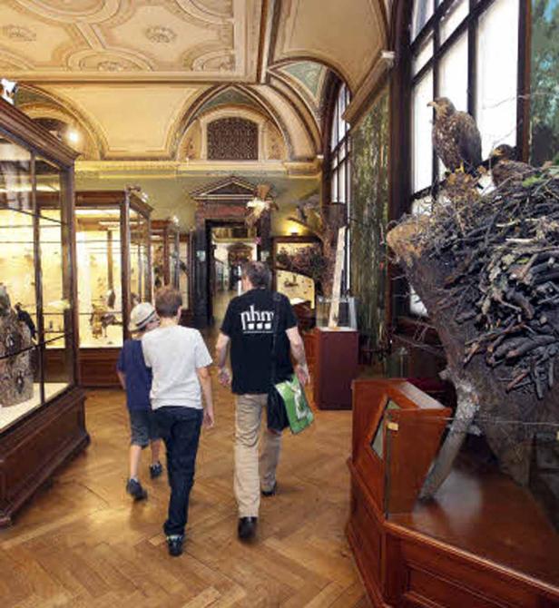 Eine Familie besucht ein Museum mit Ausstellungen von Vögeln und anderen Tieren.