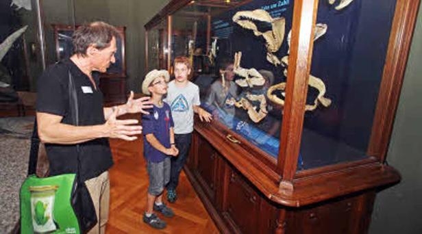 Ein Museumsführer erklärt einer Gruppe von Kindern eine Vitrine mit Fossilien.