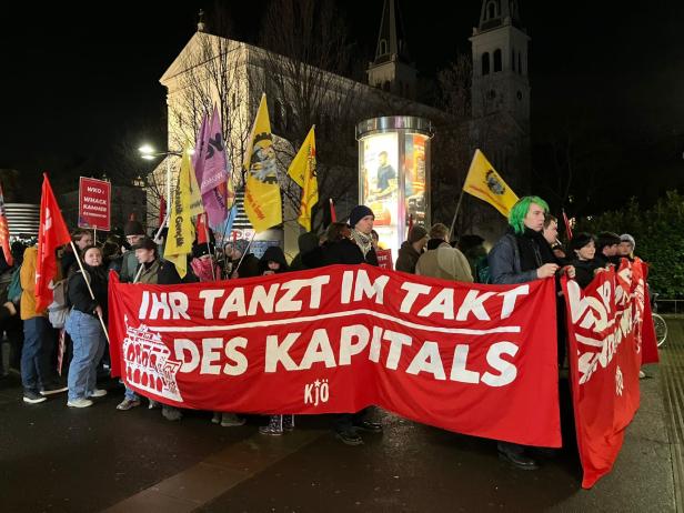 "Erhöhte Gefährdungslage": So sichert die Polizei den Wiener Opernball 2025