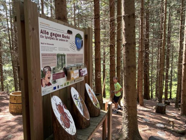 Ein Junge erkundet einen Waldspielplatz mit Informationen über Borkenkäfer.