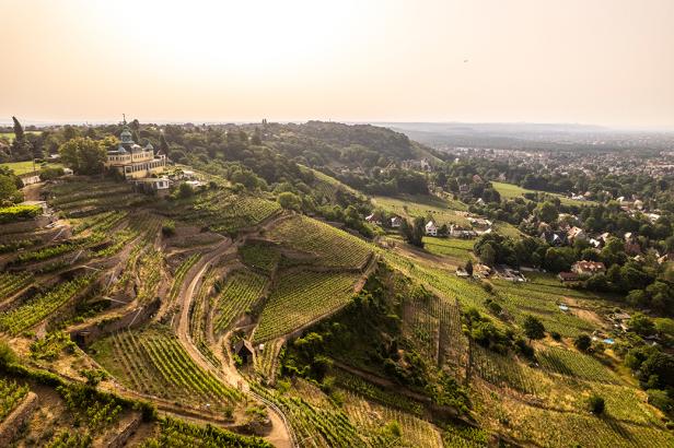 Weinberge, in der ein Schloss steht.