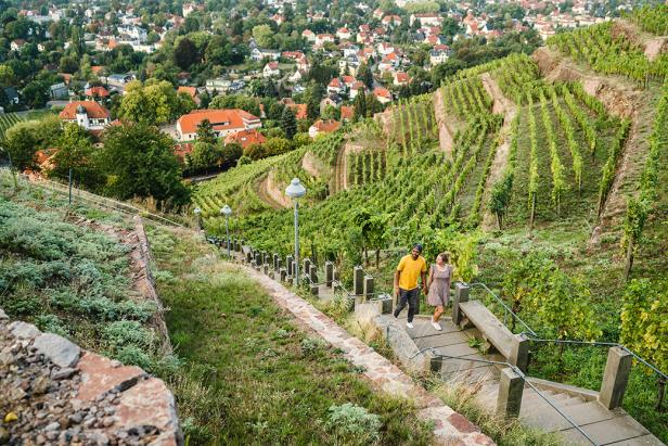 Ein Mann und eine Frau spazieren auf einer Treppe durch Weinberge.