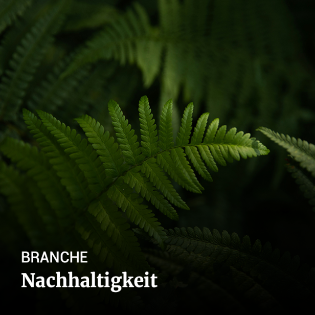 branchenbanner_quadratisch_contentmarketing_nachhaltigkeit_2025