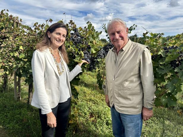 Eine Frau und ein Mann stehen in einem Weinberg neben reifen, dunklen Trauben.