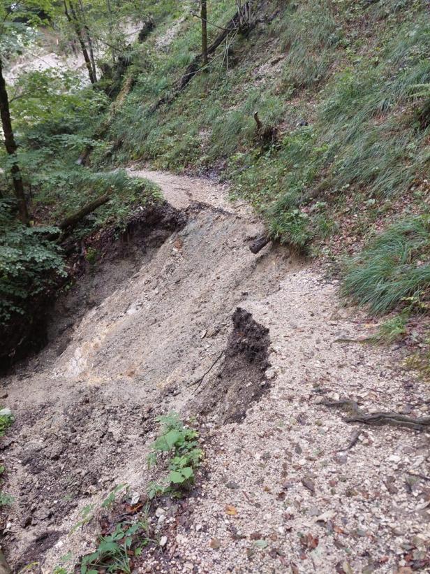 Warum man trotz Kaiserwetter den Naturpark Ötscher meiden sollte