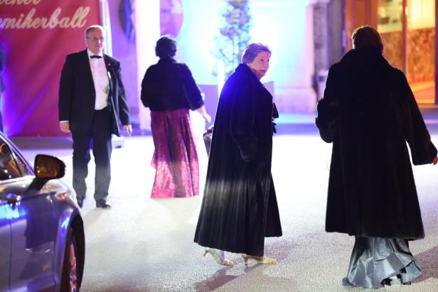 AKADEMIKERBALL IN DER WIENER HOFBURG: URSULA STENZEL Akademikerball: Rosenkranz wandte sich an Gäste, Kurzer Tumult bei Kundgebung
