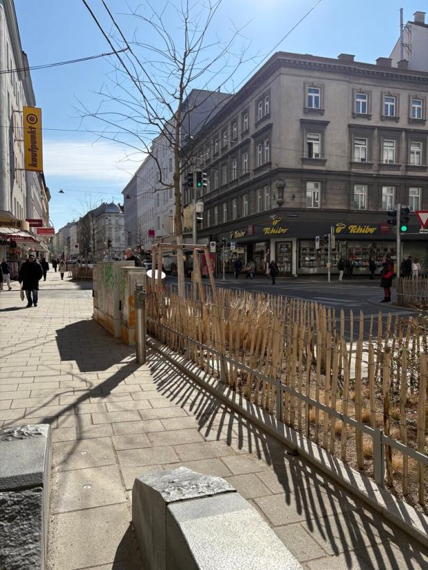 Mikrokosmos Margareten: Wie der 5. Wiener Bezirk immer grüner wird