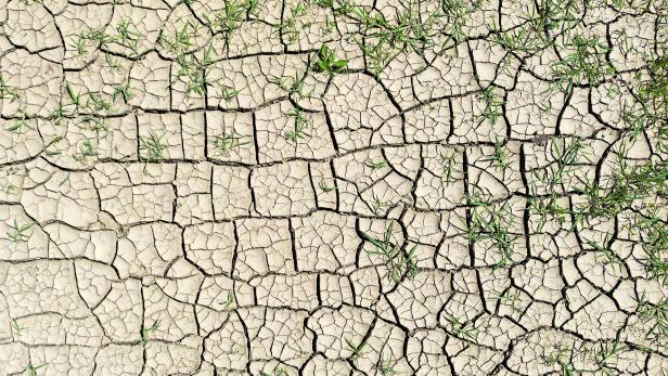 Niederschlagsarmer Winter führte zu Bodentrockenheit