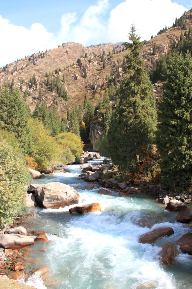 Ein reißender Fluss fließt durch eine bewaldete Berglandschaft.