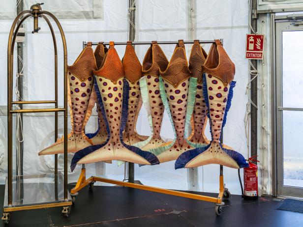 Mehrere Kostüme in Fischform hängen auf einer Kleiderstange.