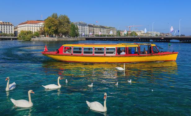 Ein gelbes Passagierboot fährt auf dem Genfersee, begleitet von Schwänen.