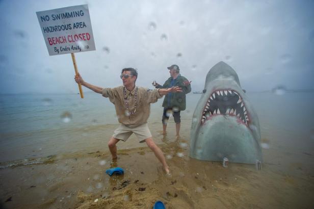 Eine Attrappe vom Haikopf auf einem Strand, daneben stehen Demonstranten.