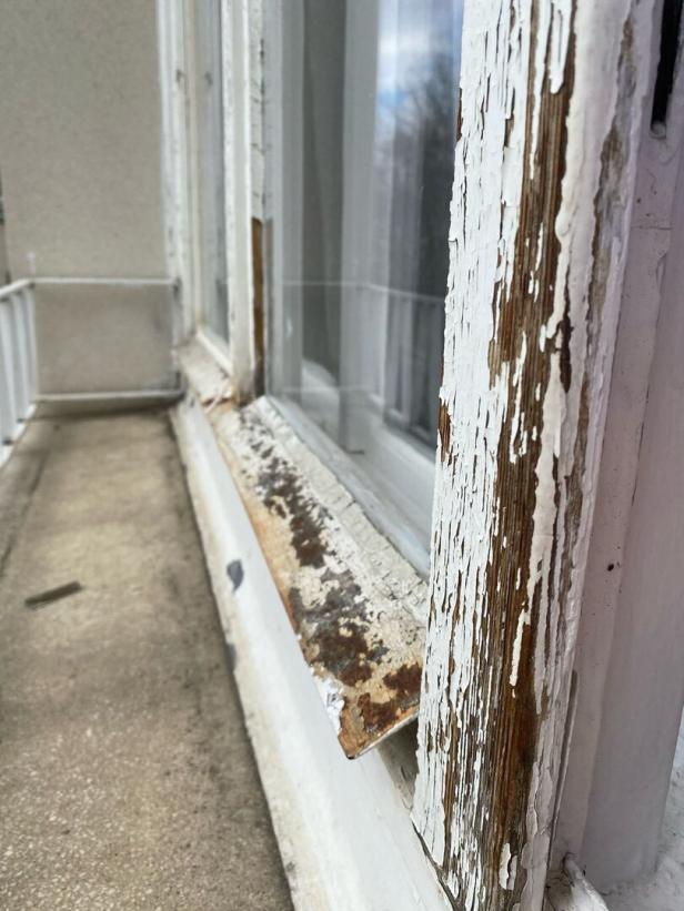 Schimmel im Gemeindebau: Volksanwältin kritisiert Wiener Wohnen