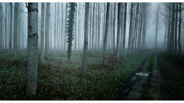 Die Street-View-Kamera als Künstler