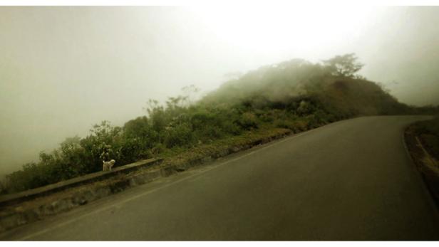 Die Street-View-Kamera als Künstler