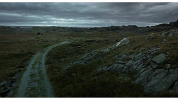 Die Street-View-Kamera als Künstler