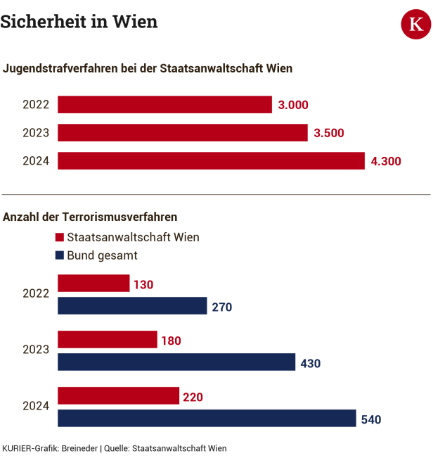 Staatsanwaltschaft Wien: Starker Anstieg bei Terrorismus und jungen Tätern
