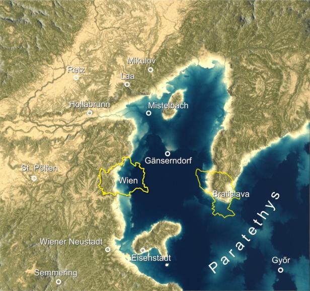 Als es in Österreich Alligatoren gab: Ein Fossil erzählt Geschichte