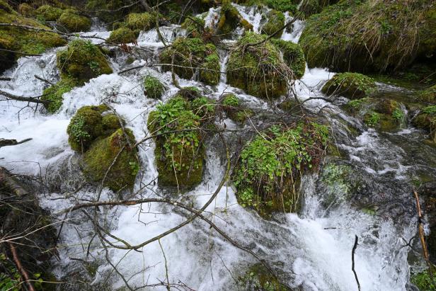Weltwassertag: Was das Wiener Wasser so besonders macht