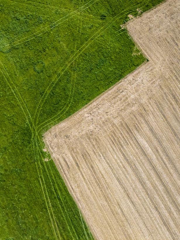 Luftaufnahme eines Feldes, das in grüne und abgeerntete Bereiche unterteilt ist.