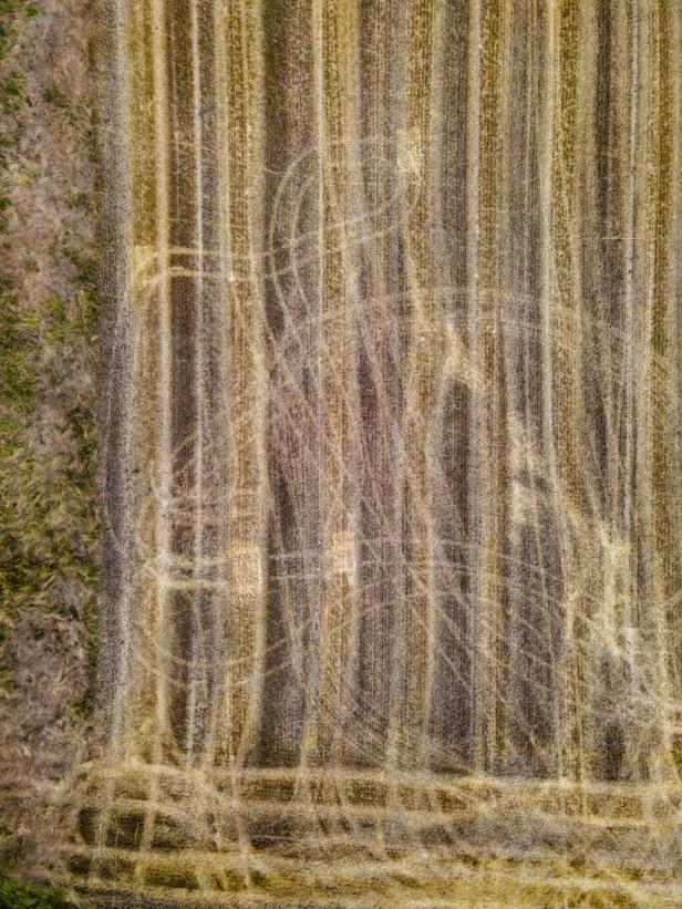Ein abgeerntetes Feld mit parallelen Furchen und Traktorspuren aus der Vogelperspektive.