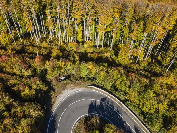 Eine kurvenreiche Straße schlängelt sich durch einen herbstlichen Wald.