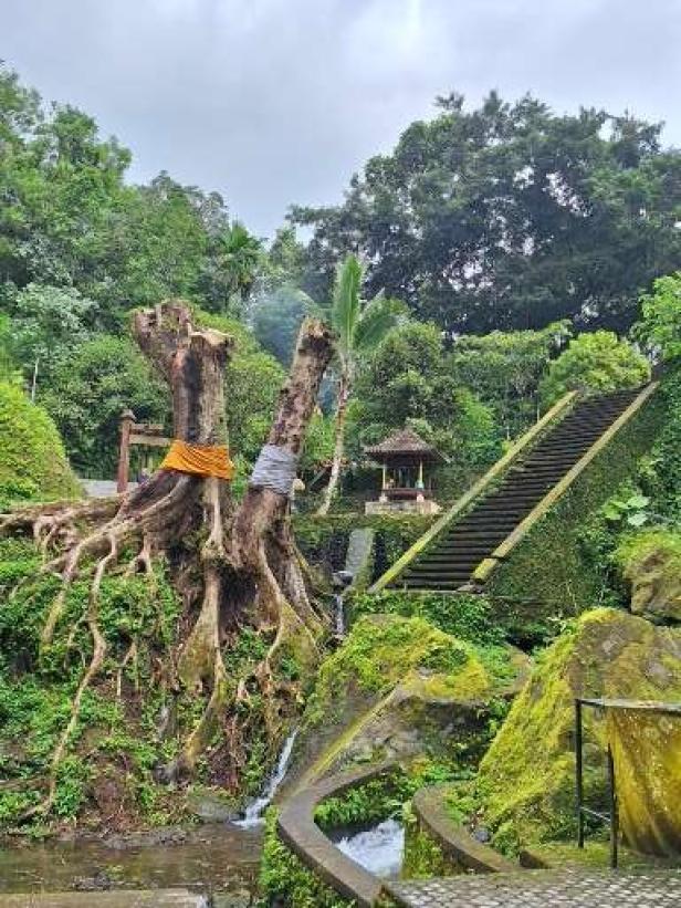 Bali: Wo sich Touristen mit Feuer und Wasser spirituell reinigen