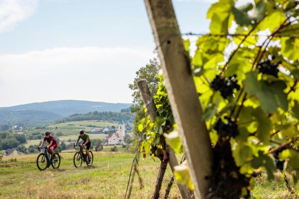 Radtourismus in Niederösterreich tritt fest in die Pedale
