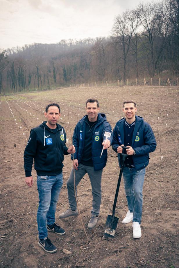 Warum die Vienna mehr als einen Baum aufstellt und die Gegner pflanzen möchte