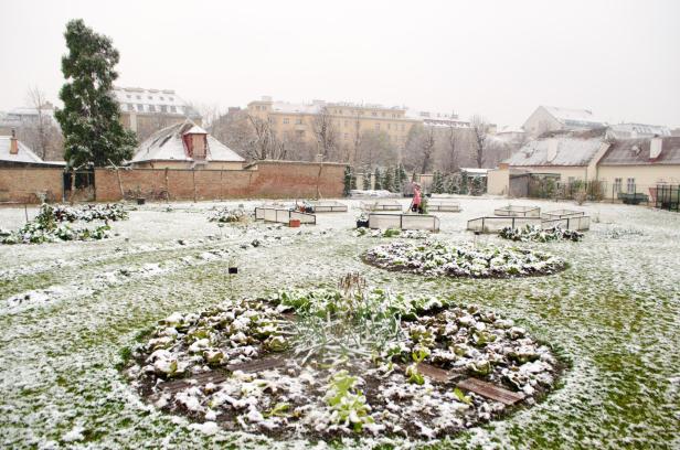 Ein verschneiter Garten mit Gemüsebeeten und Gewächshäusern im Winter.