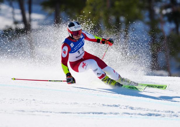 Alpine Skiing: FIS Ski World Cup Finals Alpine Skiing: FIS Ski World Cup Finals