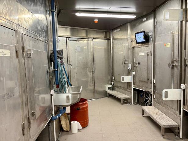 Mamba, Klapperschlange, Viper: Eine neue Wohnung für Giftschlangen
