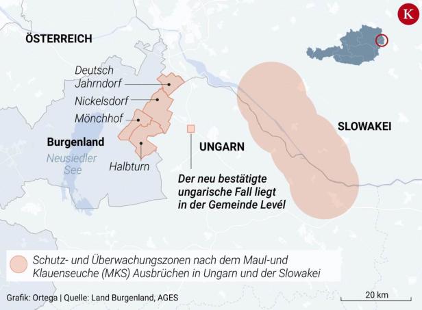 Maul- und Klauenseuche: Tödliche Gefahr für Paarhufer, 450 Betriebe betroffen