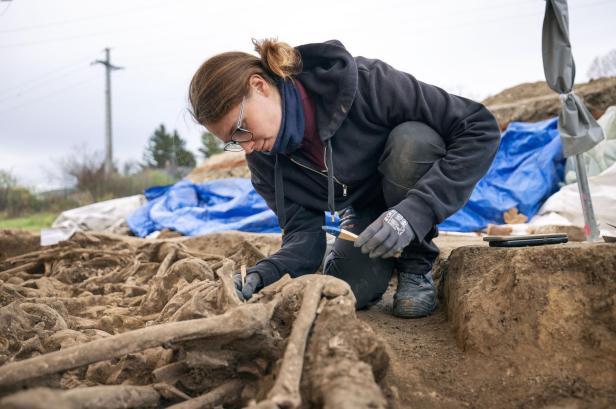 Simmeringer Sensationsfund: Massengrab legt Ursprung Wiens offen
