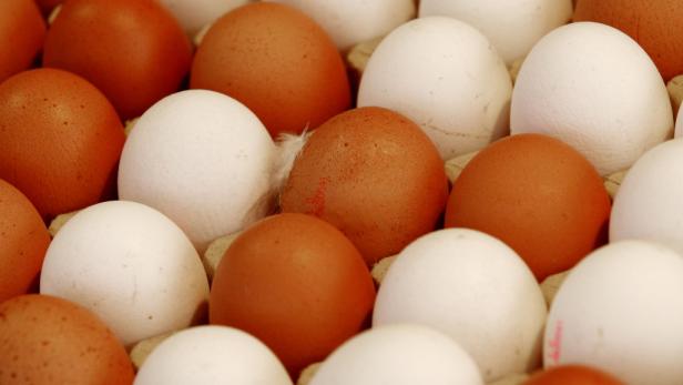Nahaufnahme von weißen und braunen Eiern in einem Karton.