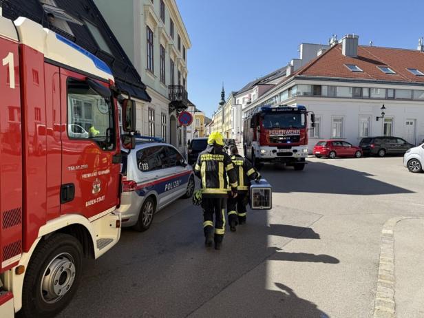 NÖ: Bewohnerin und zwei Katzen bei Wohnungsbrand gerettet