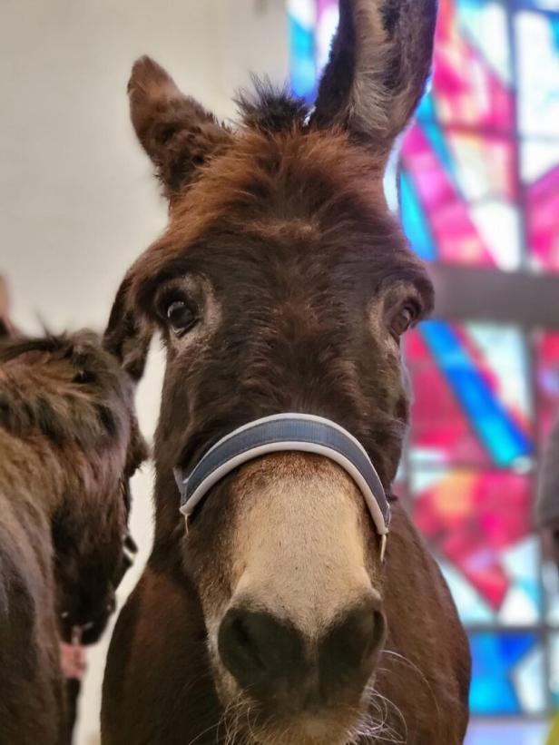 Vom Schlachter in die Kirche: Resi & Liesi sind die Stars am Palmsonntag