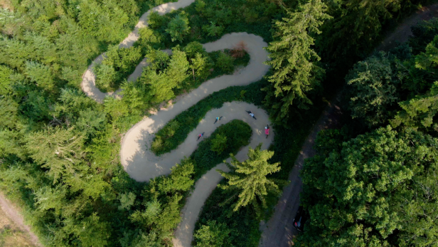 Eine Gruppe von Radfahrern fährt auf einem gewundenen Weg durch einen grünen Wald.