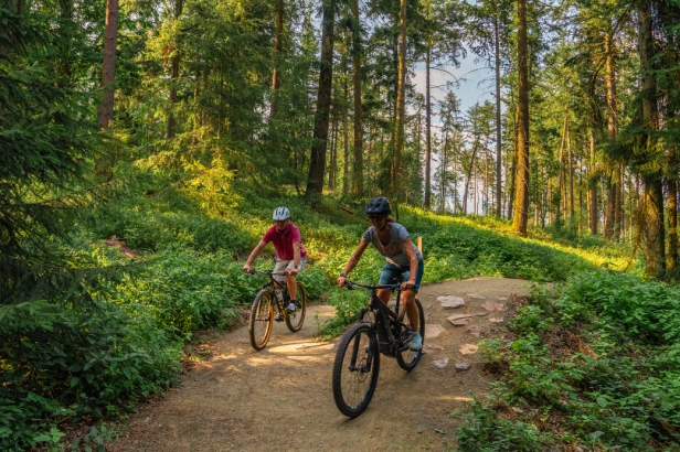 Zwei Radfahrer auf einem schmalen Waldweg, umgeben von üppigem Grün und Bäumen.